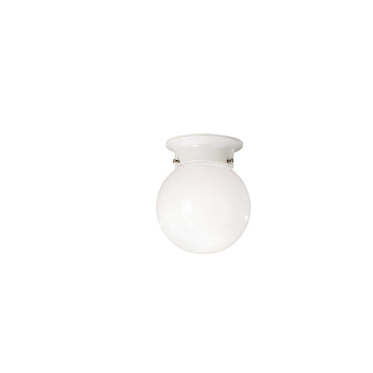 Ceiling Space Flush Mount
