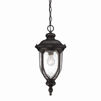 Laurens Outdoor Pendant