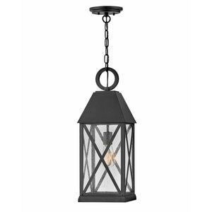 Briar Outdoor Pendant