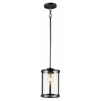 Sentinel 1-Light Mini Pendant