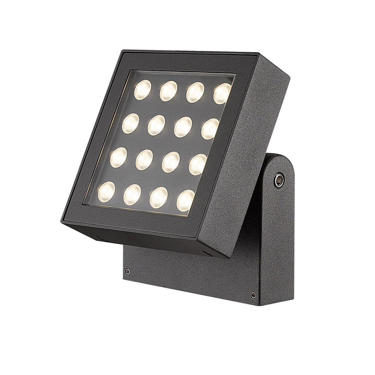 Bravo Outdoor Wall Light