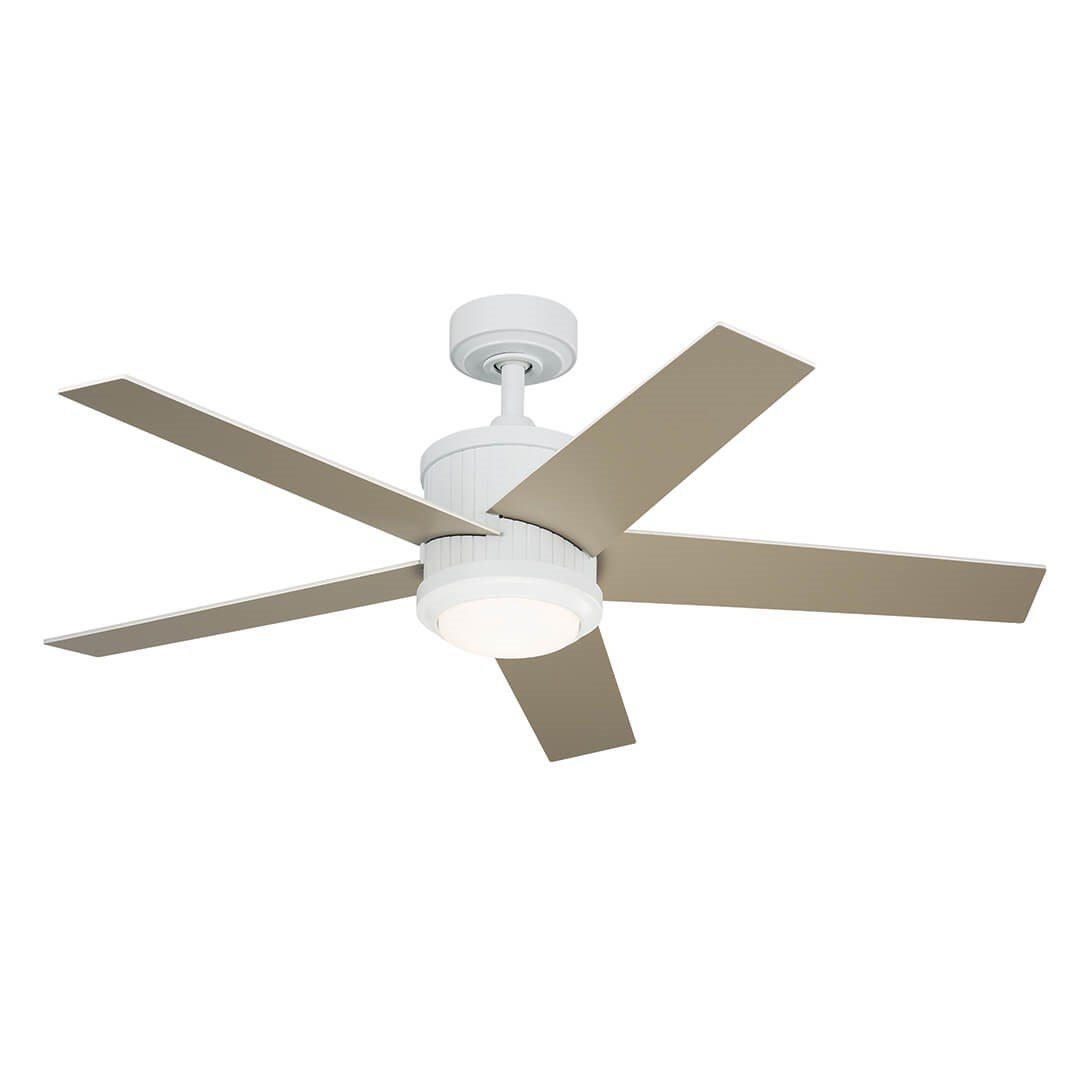 Brahm 48" Ceiling Fan