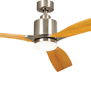 Ridley II 60" Ceiling Fan