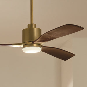 Ridley II 60" Ceiling Fan