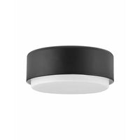 Cedric Flush Mount