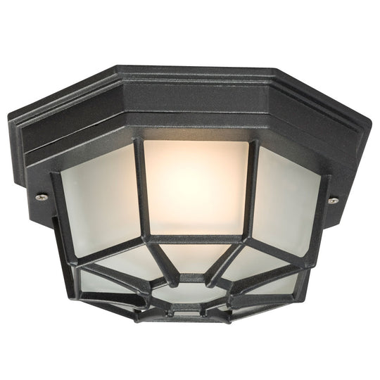 Outdoor Ceiling Light