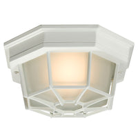 Outdoor Ceiling Light
