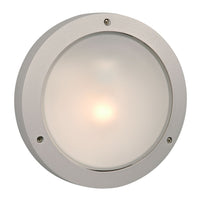 Outdoor Wall Light