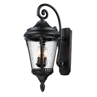 Sentry Outdoor Wall Light