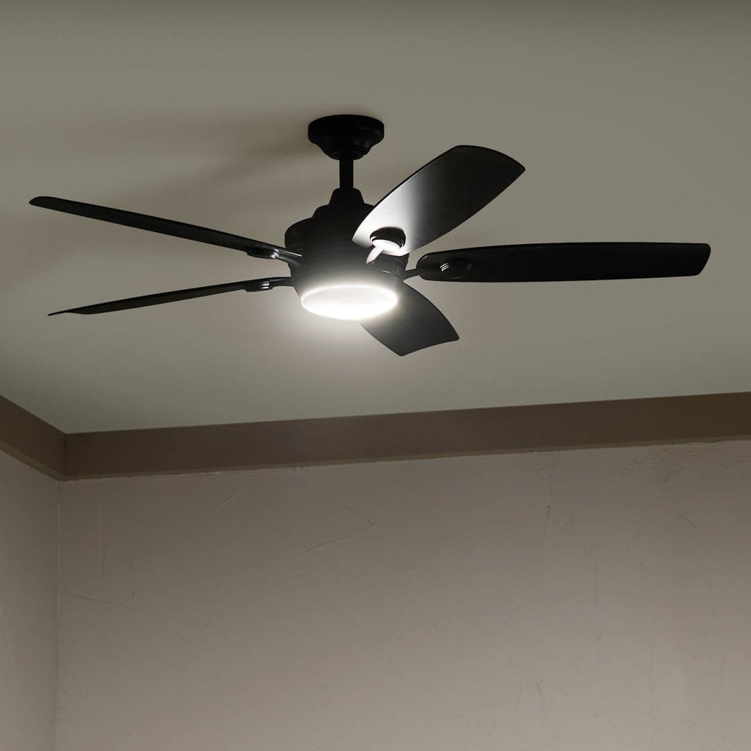 Tranquil 56" Ceiling Fan