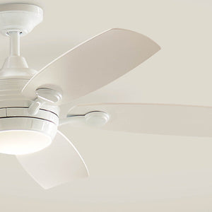 Tranquil 56" Ceiling Fan