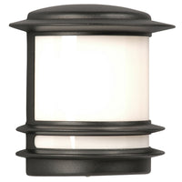 Outdoor Wall Light