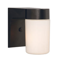 Outdoor Wall Light
