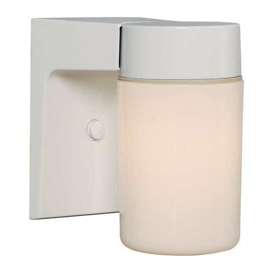 Outdoor Wall Light