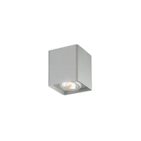 Outdoor Wall Light