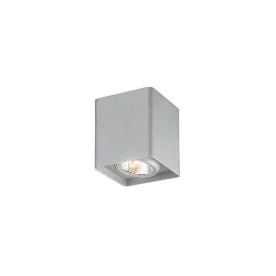 Outdoor Wall Light