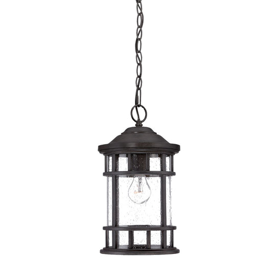 Vista II Outdoor Pendant