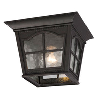 Outdoor Ceiling Light