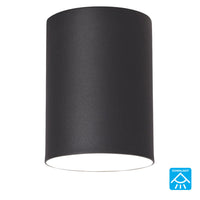 Outdoor Ceiling Light