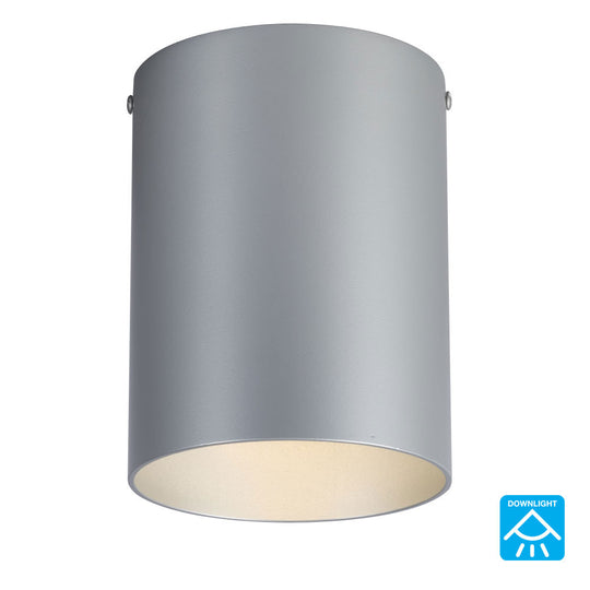 Outdoor Ceiling Light