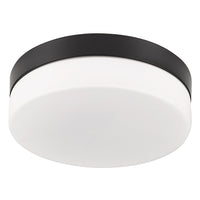 Flush Mount