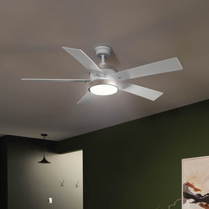 Salvo 56" Ceiling Fan