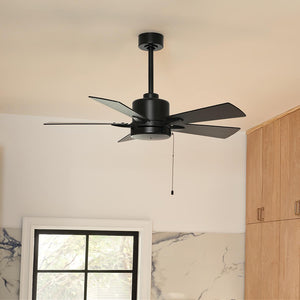 Lucian II 42" Ceiling Fan