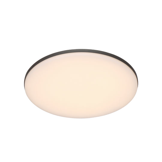 Outdoor Wall Light