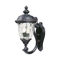 Carriage House DC Outdoor Wall Light