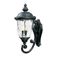 Carriage House DC Outdoor Wall Light