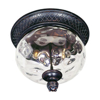 Carriage House DC Outdoor Ceiling Light