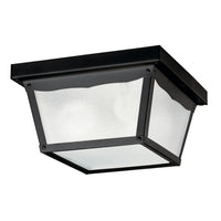 Outdoor Miscellaneous Outdoor Ceiling Light