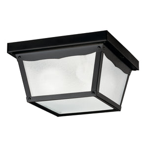 Outdoor Miscellaneous Outdoor Ceiling Light Black