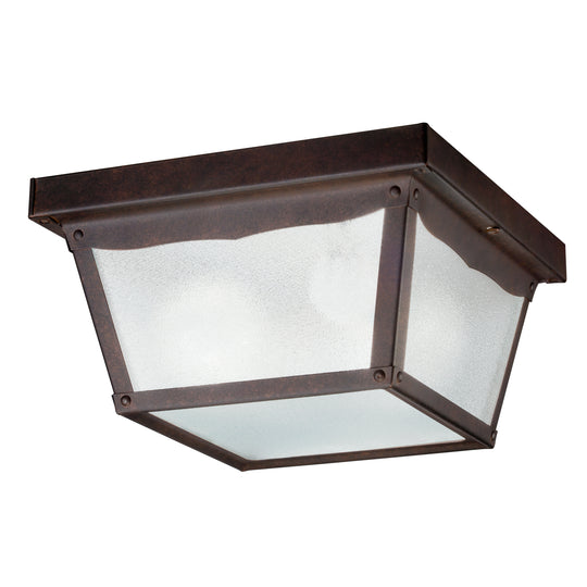 Outdoor Miscellaneous Outdoor Ceiling Light
