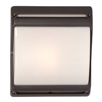 Outdoor Wall Light