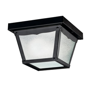 Outdoor Miscellaneous Outdoor Ceiling Light Black