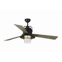 Boynton 54 Outdoor Fan