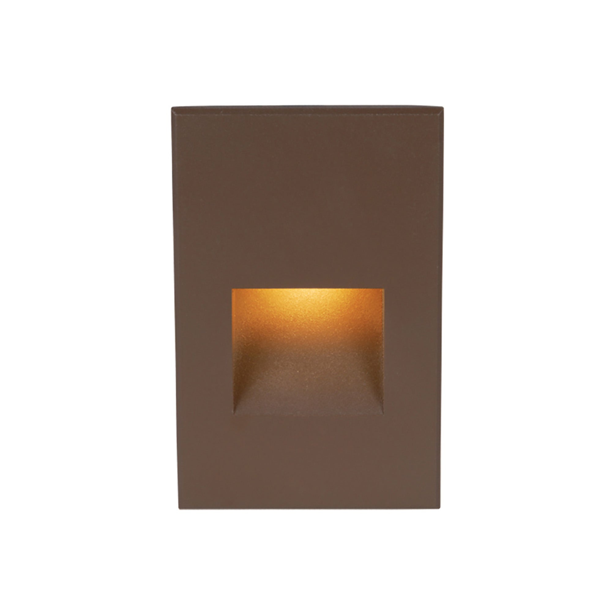 LED 12V Vertical Indoor/Outdoor Step and Wall Light