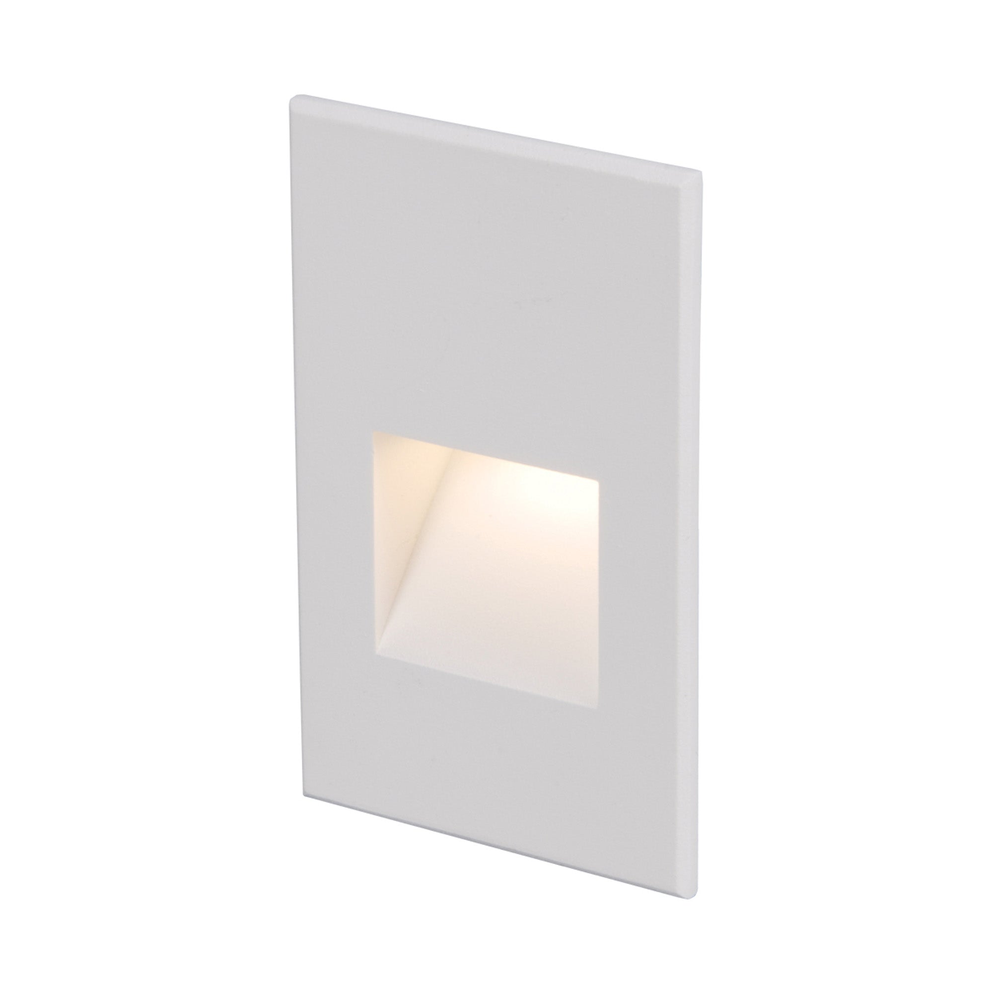 LED 12V Vertical Indoor/Outdoor Step and Wall Light