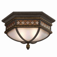 Chateau Outdoor Ceiling Light