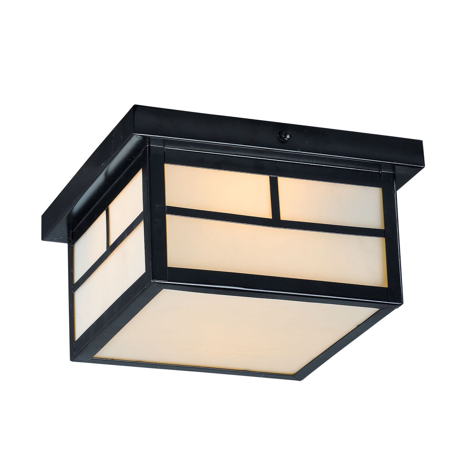 Coldwater Outdoor Ceiling Light Black