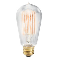 60W Antique Clear Incandescent Bulb