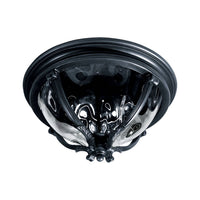 Camden VX Outdoor Ceiling Light