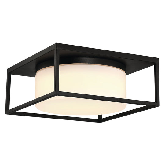 Ren 13" 2 Light Outdoor Ceiling Light