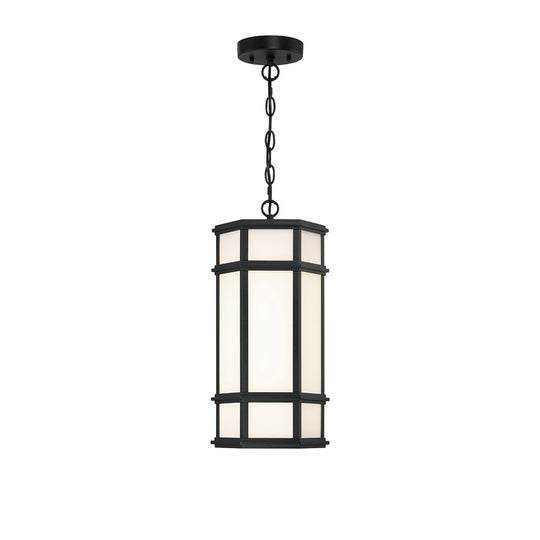 Monte 18" LED Outdoor Pendant