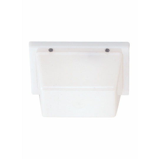 Ceiling / Wall Mount Outdoor Light