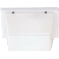 Ceiling / Wall Mount Outdoor Light