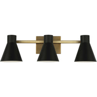 Towner Vanity Light