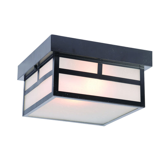 Artisan Outdoor Ceiling Light