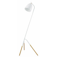 Westlinton Floor Lamp